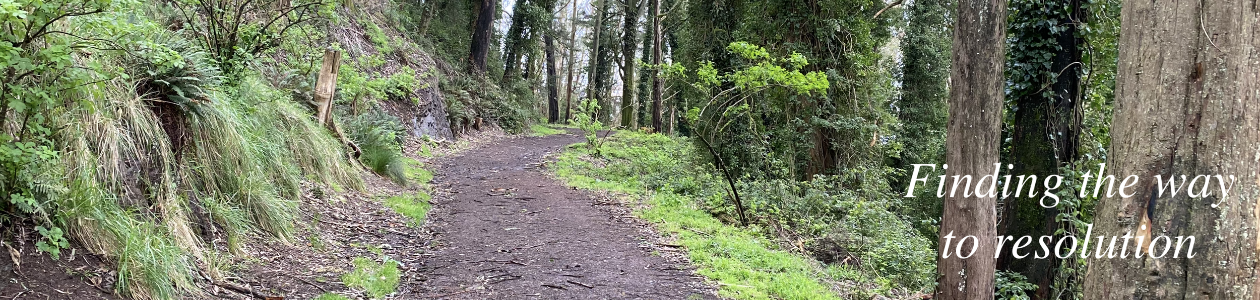 Image of a path with the words: Finding the way to resolution.